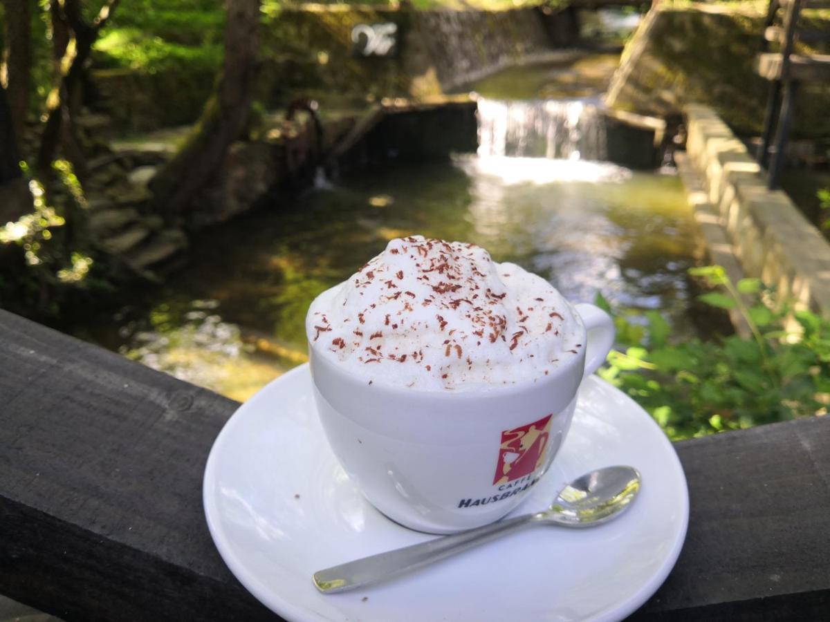 Garni Hotel Vir Vrnjačka Banja Kültér fotó